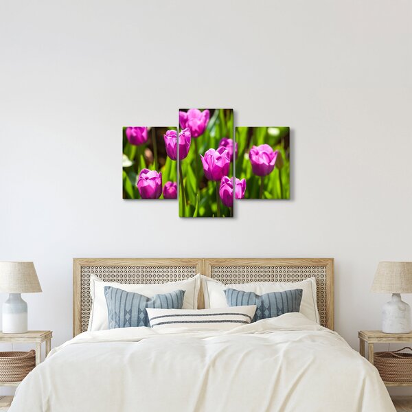 Slika tulipana na livadi (90x60 cm)