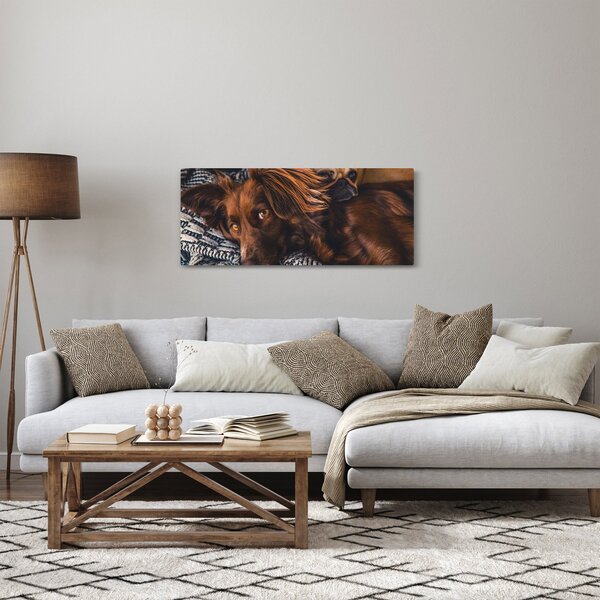Slika pasa koji leže (120x50 cm)