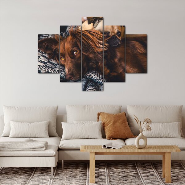Slika pasa koji leže (150x105 cm)