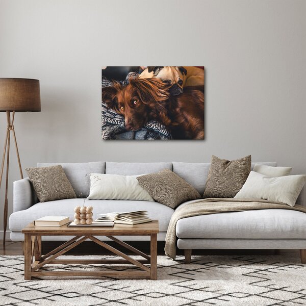Slika pasa koji leže (70x50 cm)