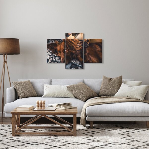 Slika pasa koji leže (90x60 cm)