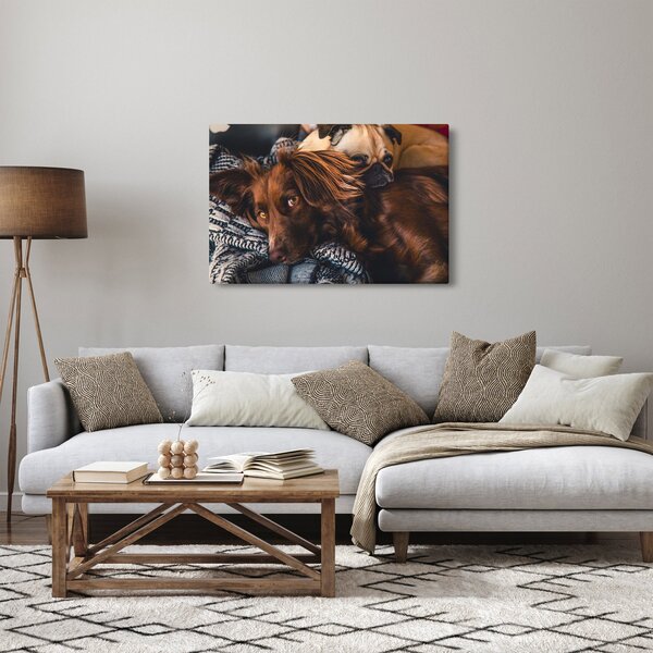 Slika pasa koji leže (90x60 cm)