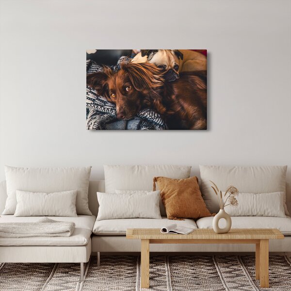 Slika pasa koji leže (90x60 cm)