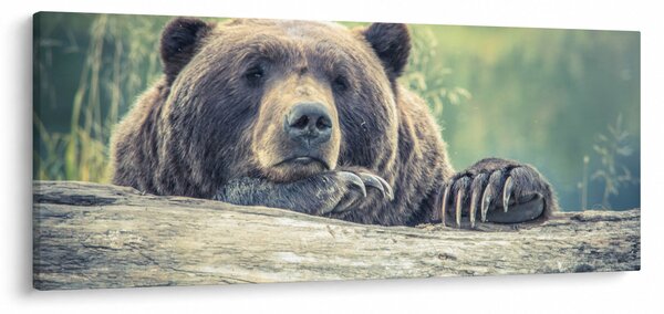 Slika medvjeda (120x50 cm)