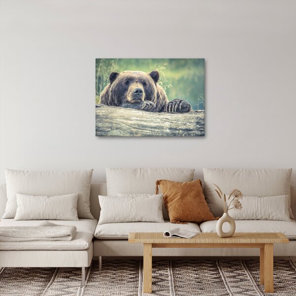 Slika medvjeda (70x50 cm)