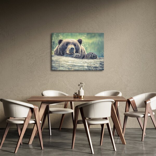 Slika medvjeda (70x50 cm)