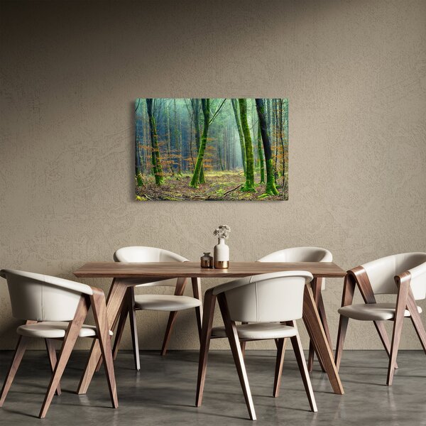 Slika šume (90x60 cm)