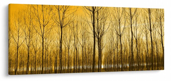 Slika šume pri zalasku sunca (120x50 cm)