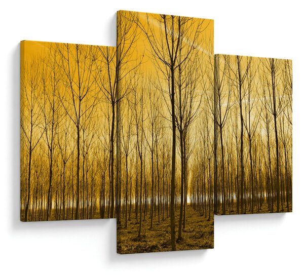 Slika šume pri zalasku sunca (90x60 cm)
