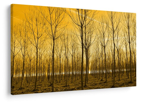 Slika šume pri zalasku sunca (90x60 cm)