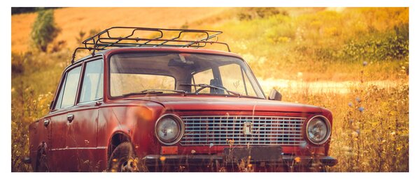 Slika automobila u polju (120x50 cm)