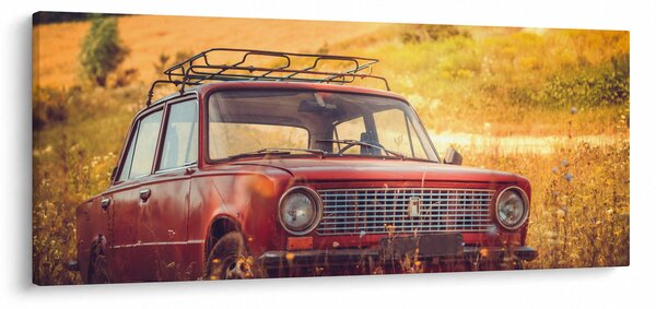 Slika automobila u polju (120x50 cm)