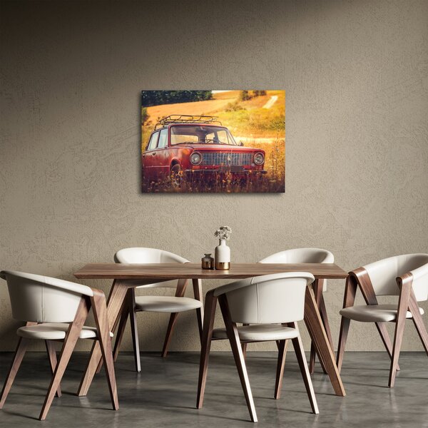Slika automobila u polju (70x50 cm)