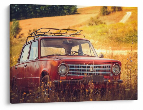 Slika automobila u polju (70x50 cm)