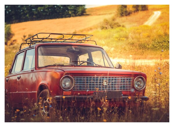 Slika automobila u polju (70x50 cm)