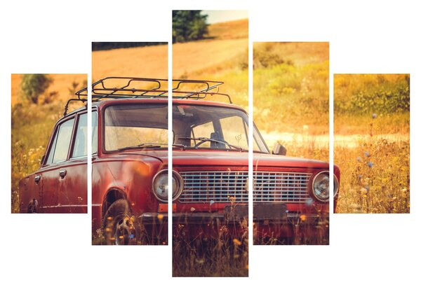 Slika automobila u polju (150x105 cm)