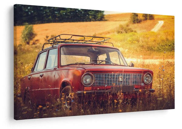 Slika automobila u polju (90x60 cm)