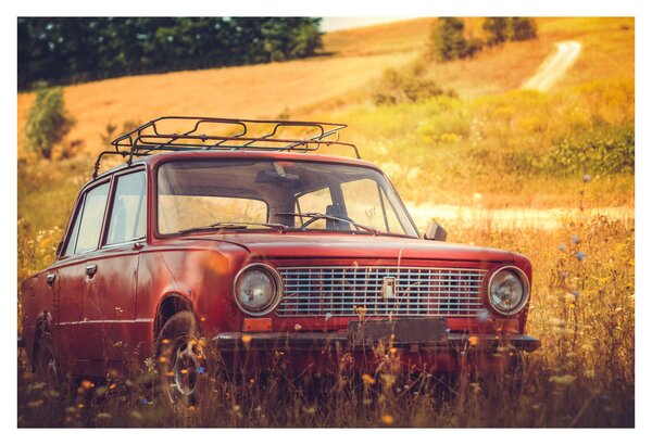 Slika automobila u polju (90x60 cm)