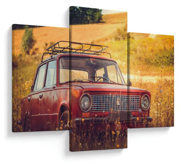 Slika automobila u polju (90x60 cm)