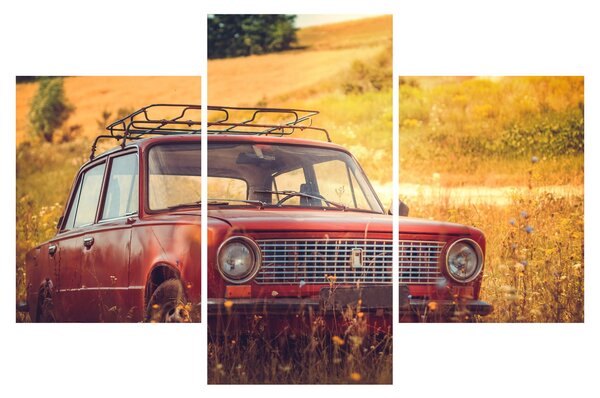 Slika automobila u polju (90x60 cm)