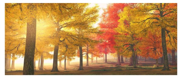 Slika jesenskog drveća (120x50 cm)
