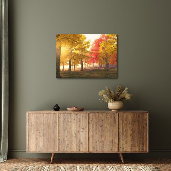 Slika jesenskog drveća (70x50 cm)