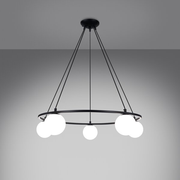 Luster YOLI 5