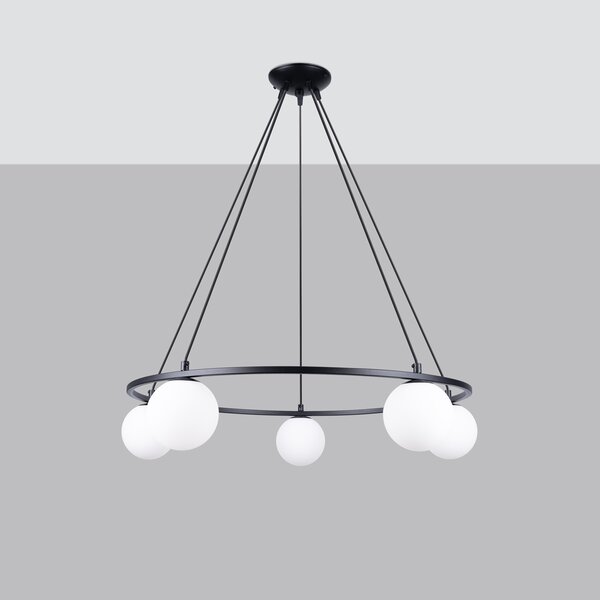 Luster YOLI 5