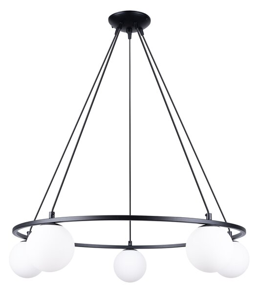 Luster YOLI 5