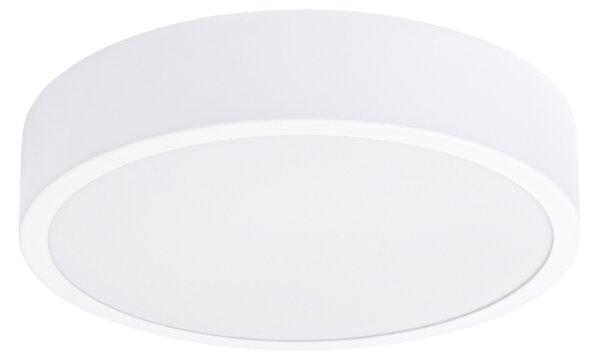 Stropna svjetiljka ONYX 30 bijela LED 3000K