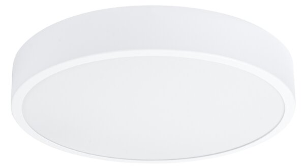 Stropna svjetiljka ONYX 40 bijela LED 3000K