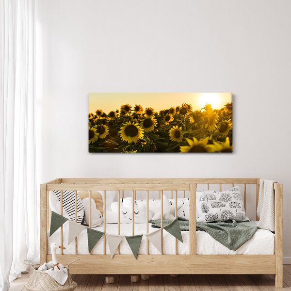 Slika polja suncokreta (120x50 cm)