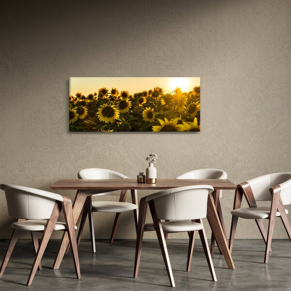 Slika polja suncokreta (120x50 cm)