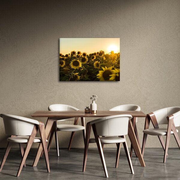 Slika polja suncokreta (70x50 cm)
