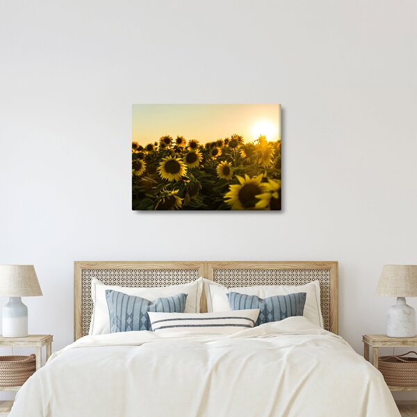 Slika polja suncokreta (70x50 cm)