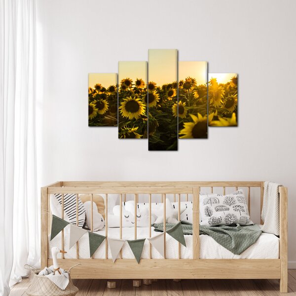 Slika polja suncokreta (150x105 cm)