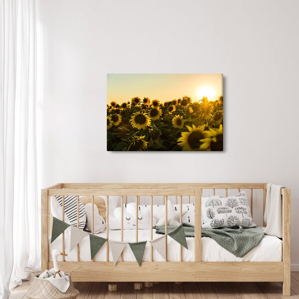 Slika polja suncokreta (90x60 cm)