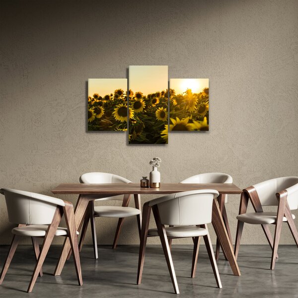 Slika polja suncokreta (90x60 cm)