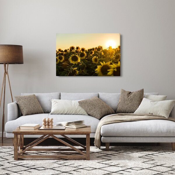 Slika polja suncokreta (90x60 cm)