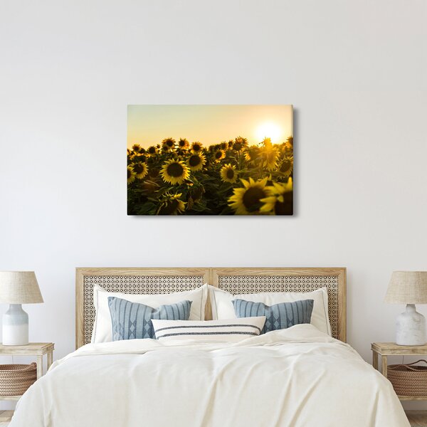 Slika polja suncokreta (90x60 cm)