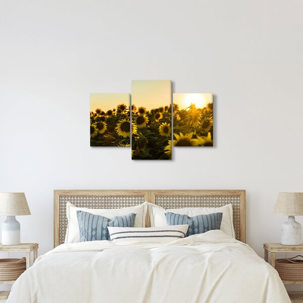 Slika polja suncokreta (90x60 cm)