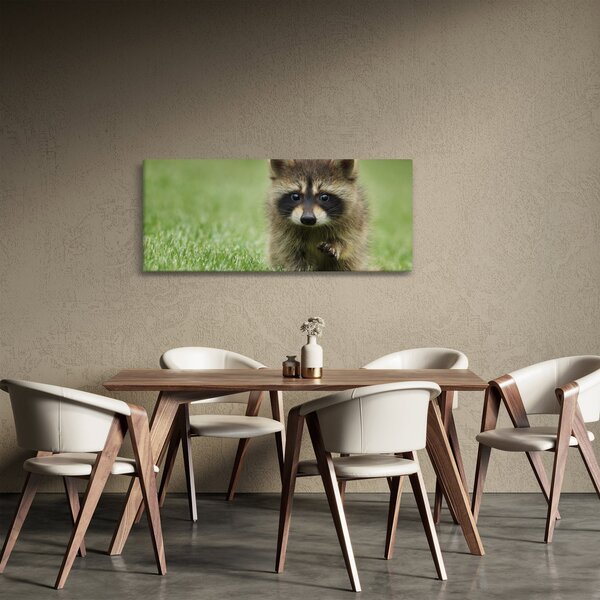 Slika rakuna (120x50 cm)