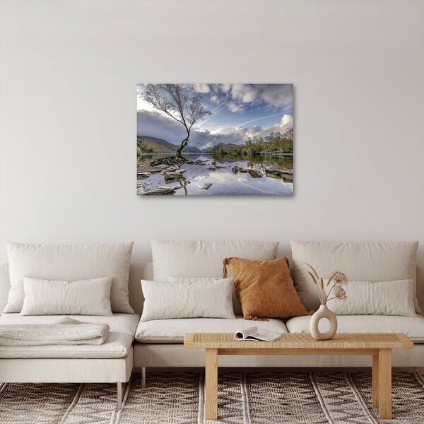 Slika rijeke sa stablom (70x50 cm)