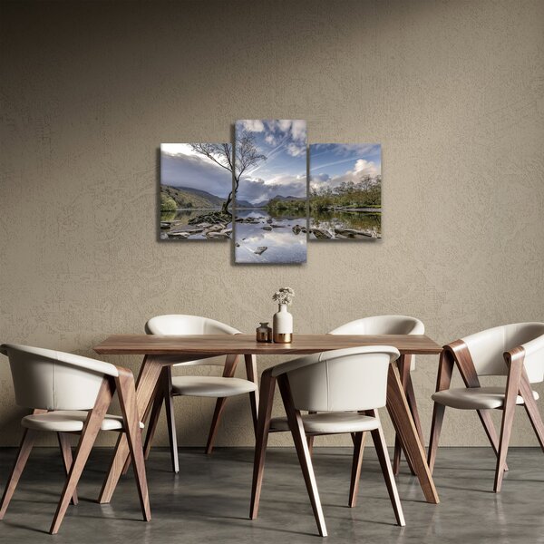 Slika rijeke sa stablom (90x60 cm)