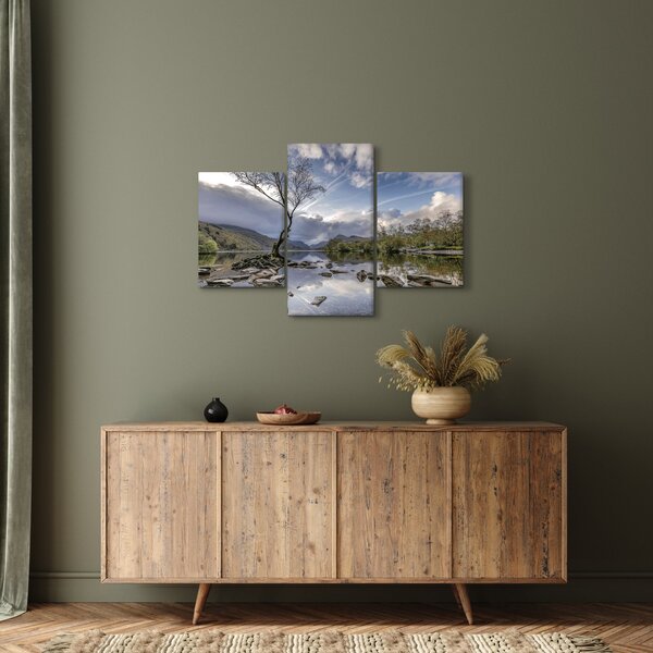 Slika rijeke sa stablom (90x60 cm)