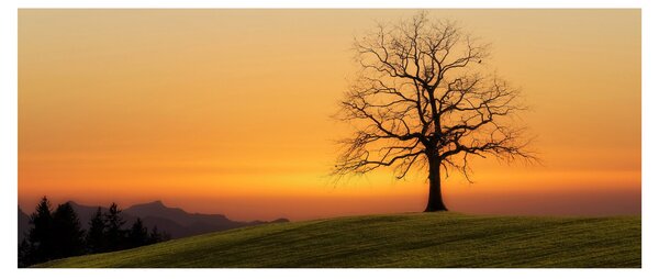 Slika zalaska sunca na livadi (120x50 cm)