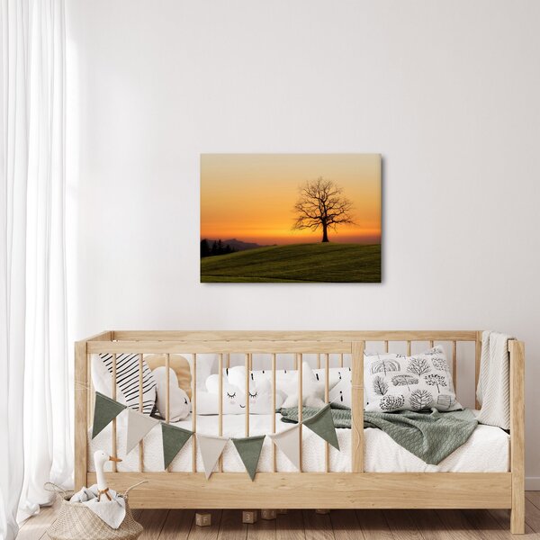 Slika zalaska sunca na livadi (70x50 cm)