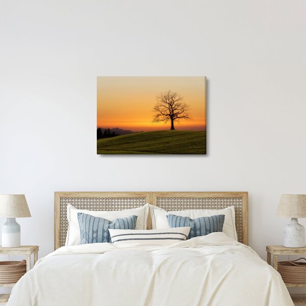 Slika zalaska sunca na livadi (70x50 cm)