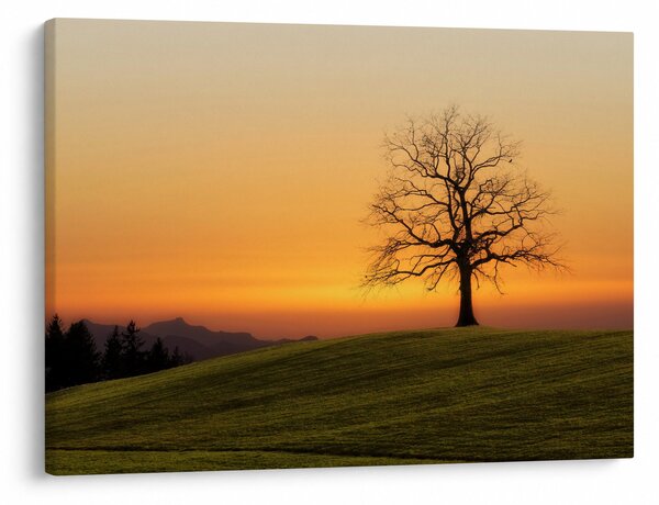 Slika zalaska sunca na livadi (70x50 cm)