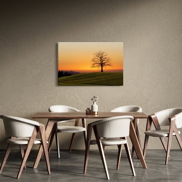 Slika zalaska sunca na livadi (90x60 cm)
